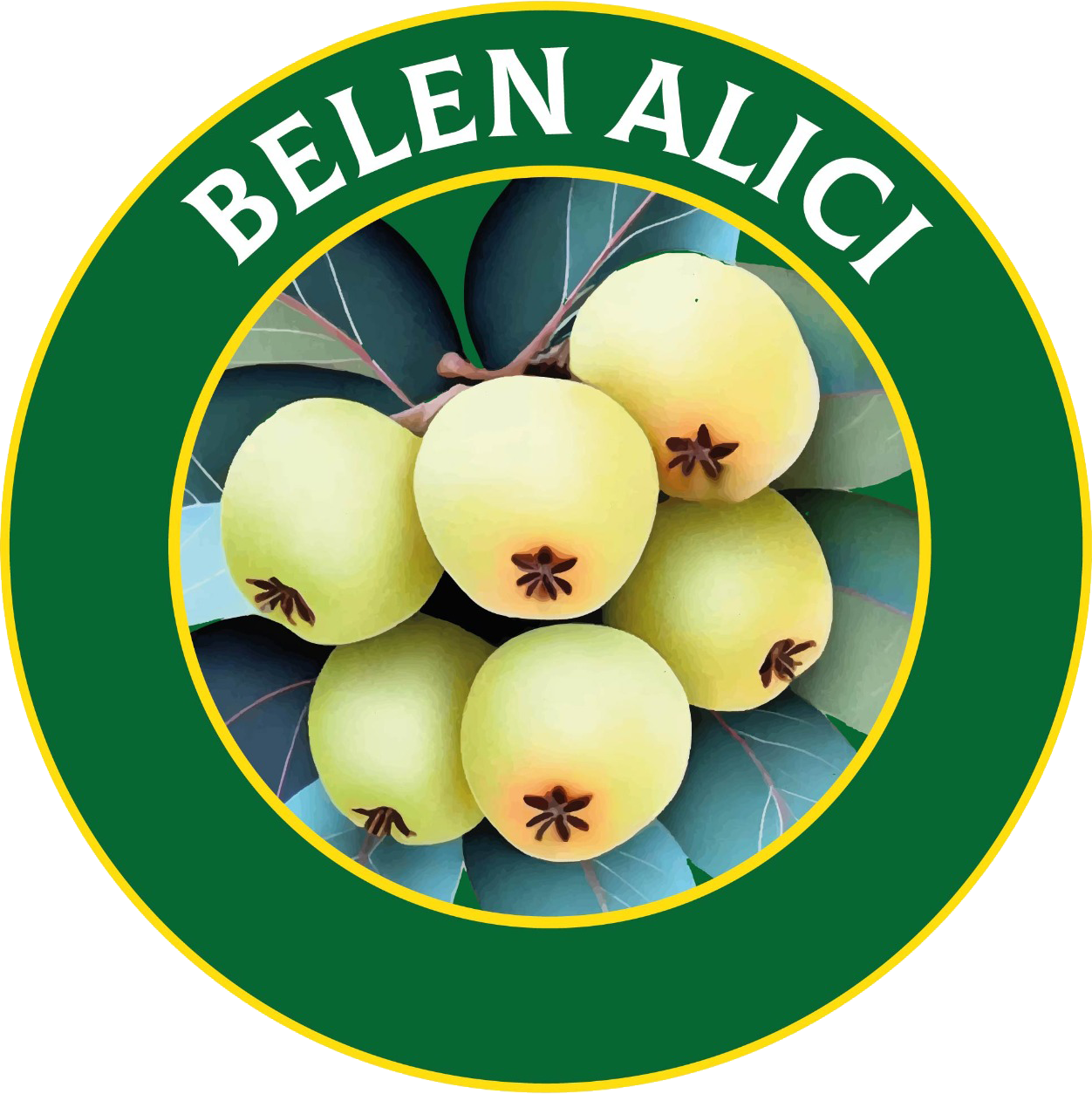 Belen Alıcı logosu